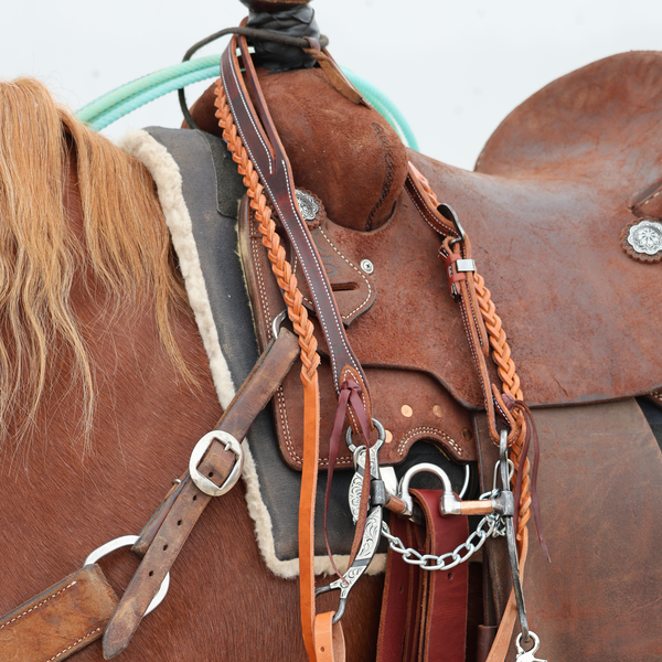 Saddles & Tack